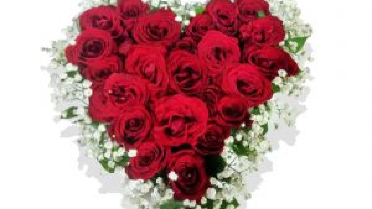 Bunga Ulang Tahun Untuk Istri Di Jakarta 087776727771 Pesan Bunga Buket