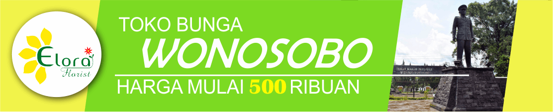 wonosobo elora