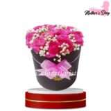Bloom Box Bunga hari ibu