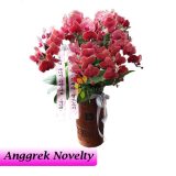 bunga anggrek novelty