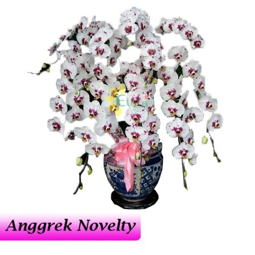 Bunga Anggrek Bulan Novelty AGR-013