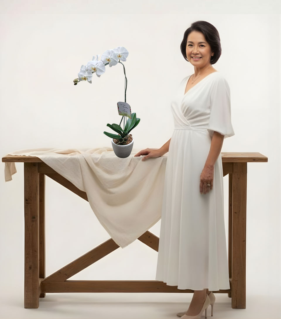 Anggrek Hari Ibu AGR-04 Anggrek Hari Ibu AGR-04