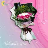 Bunga Mawar Valentine HBP-011