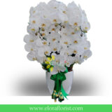 Bunga Anggrek Lebaran AGRL-003