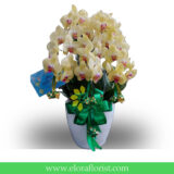 Bunga Anggrek Lebaran AGRL-004