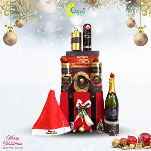 Hamper Christmas Santa